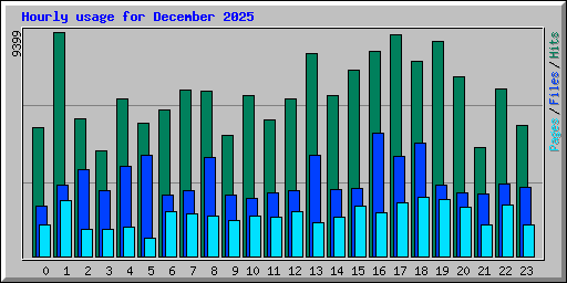 Hourly usage for December 2025