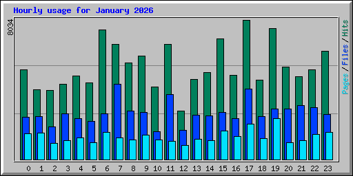 Hourly usage for January 2026
