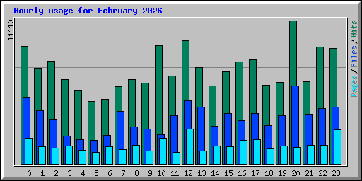 Hourly usage for February 2026