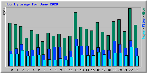 Hourly usage for June 2026