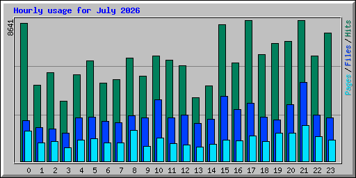 Hourly usage for July 2026