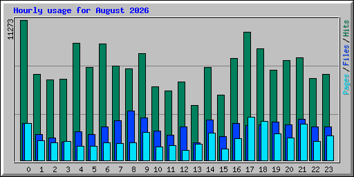 Hourly usage for August 2026